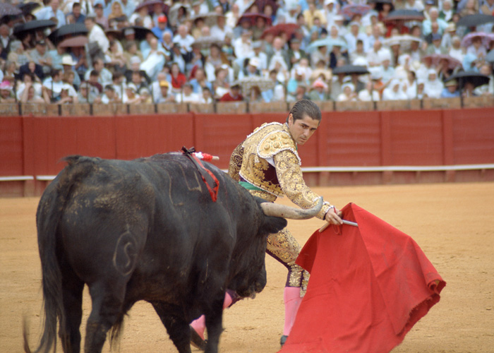 A bullfight in Sevilla, Spain.