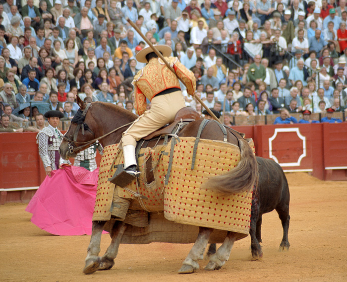 A bullfight in Sevilla, Spain.