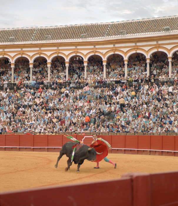 A bullfight in Sevilla, Spain.