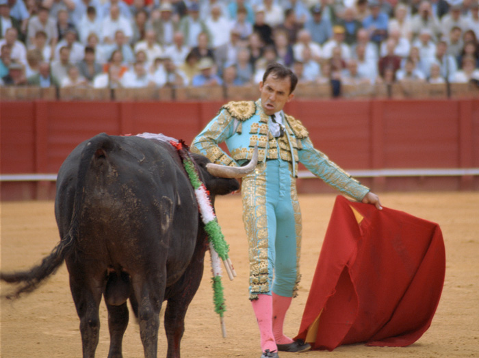 A bullfight in Sevilla, Spain.