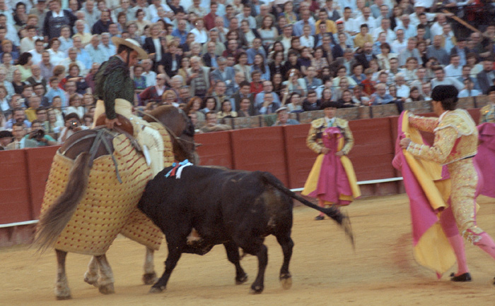 A bullfight in Sevilla, Spain.