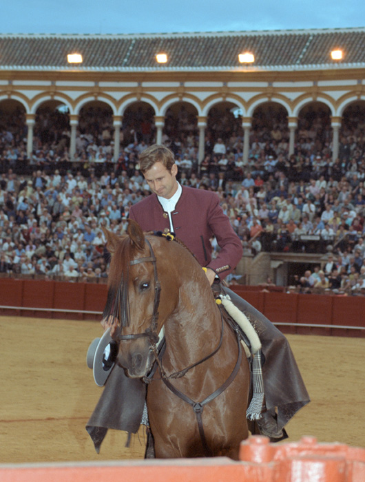 A bullfight in Sevilla, Spain.