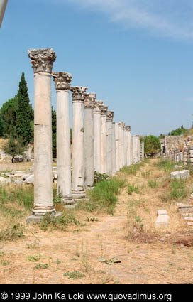 Photographs of the Roman ruins at Ephesus, Turkey.