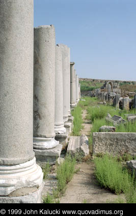 Photographs of the Roman ruins at Perge, Turkey.