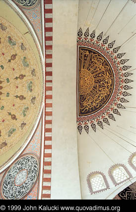 Photographs of notable mosques in Istanbul, Turkey.