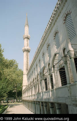 Photographs of notable mosques in Istanbul, Turkey.