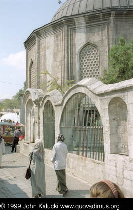 Photographs of notable mosques in Istanbul, Turkey.