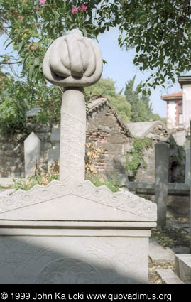 Photographs of notable mosques in Istanbul, Turkey.