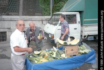 Photographs of various scenes around Instanbul, Turkey.