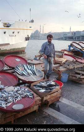 Photographs of things to buy while traveling in Turkey.