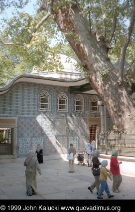 Photographs of notable mosques in Istanbul, Turkey.