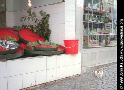 Photographs of various scenes around Instanbul, Turkey.