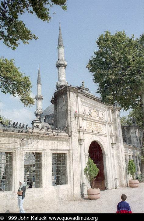 Photographs of notable mosques in Istanbul, Turkey.