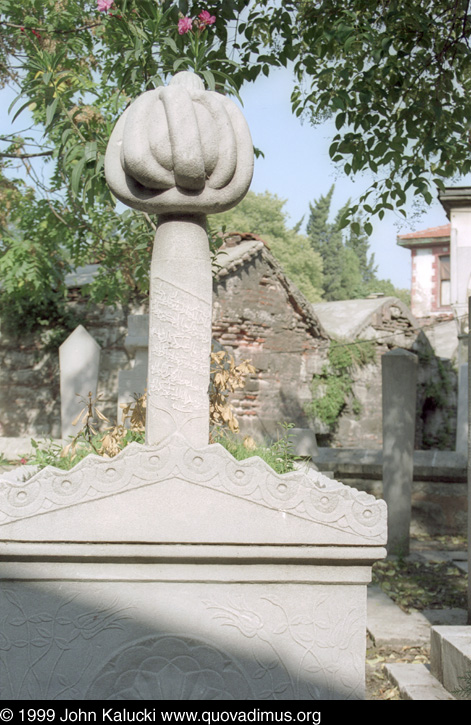 Photographs of notable mosques in Istanbul, Turkey.