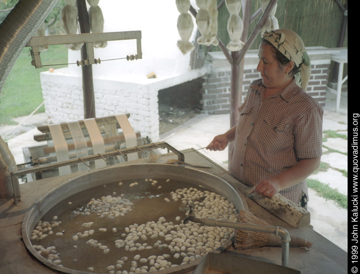 Photographs of things to buy while traveling in Turkey.