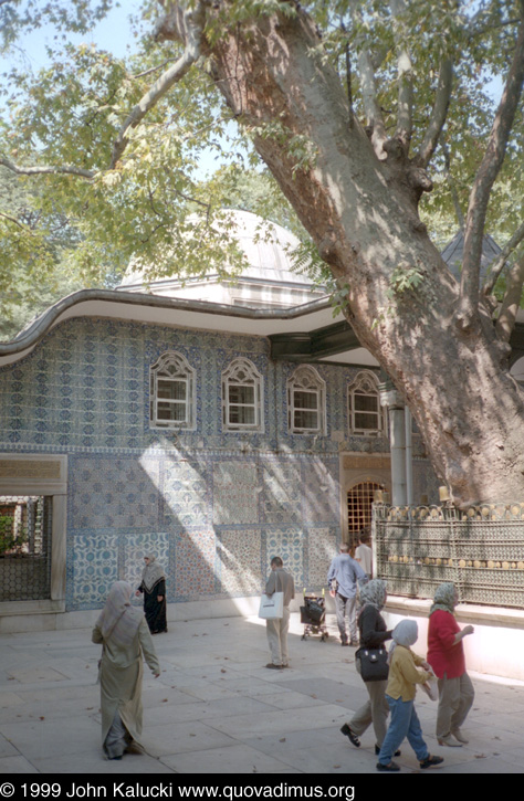 Photographs of notable mosques in Istanbul, Turkey.