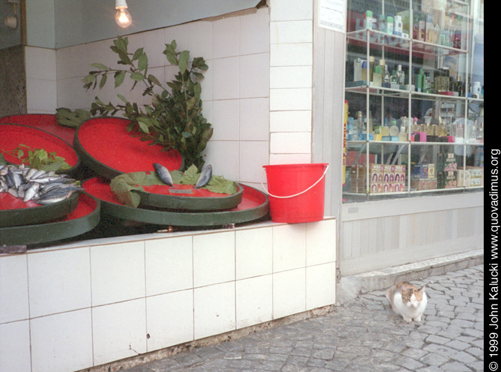 Photographs of various scenes around Instanbul, Turkey.