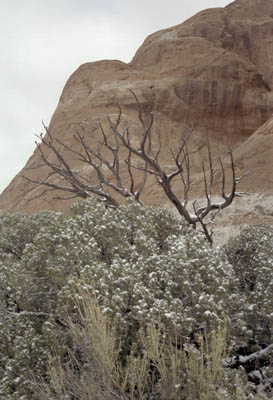 Winter photographs of Devil's Garden, Arches National Park, Utah.