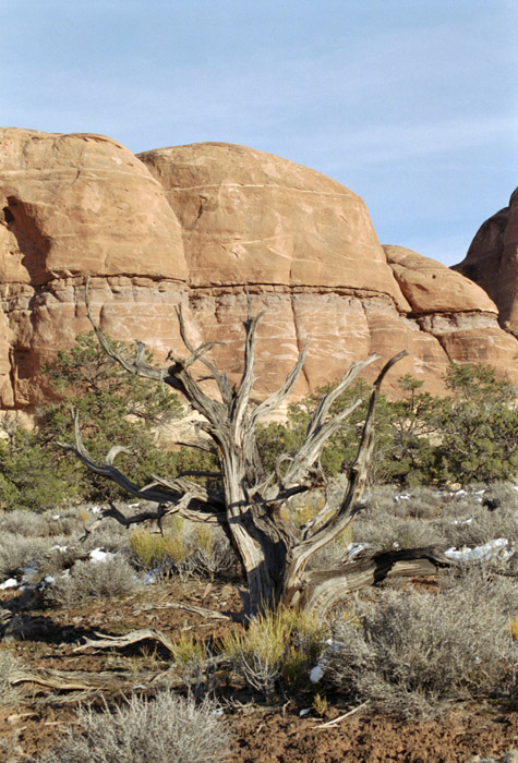 Photographs of Elephant Hill, Canyonlands National Park, Utah