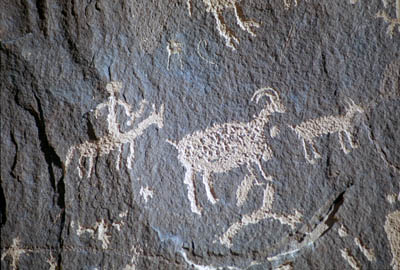 Photographs of petroglyphs around Canyonlands National Park, Utah. Images from both Newspaper rock and the Colorado River gorge