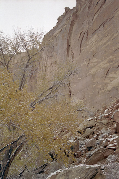 Photographs of Capitol Reef National Park, Utah