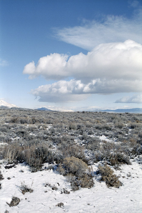 Photographs from a snowy drive between Elko and Ely over 'Secret Pass'.