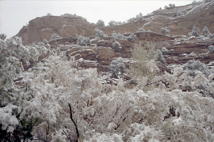 Gray photographs of a snowy drive on Utah Highway 12 through Escalante National Monument, Utah.