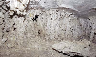 Photographs of Lehman Cave in Great Basin National Park, Nevada.