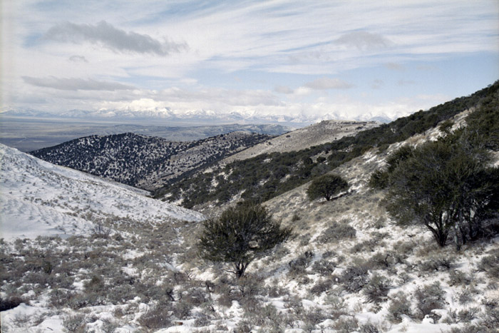 Photographs of the Blackforest mine in the Spruce Mountain (Sprucemont) Mining District, Nevada