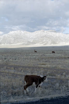 Things I found interesting while traveling through Utah and Nevada, November 1998.
