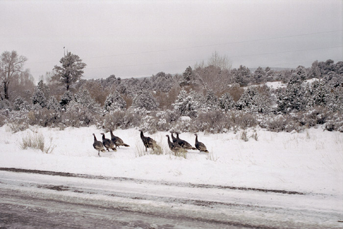 Things I found interesting while traveling through Utah and Nevada, November 1998.