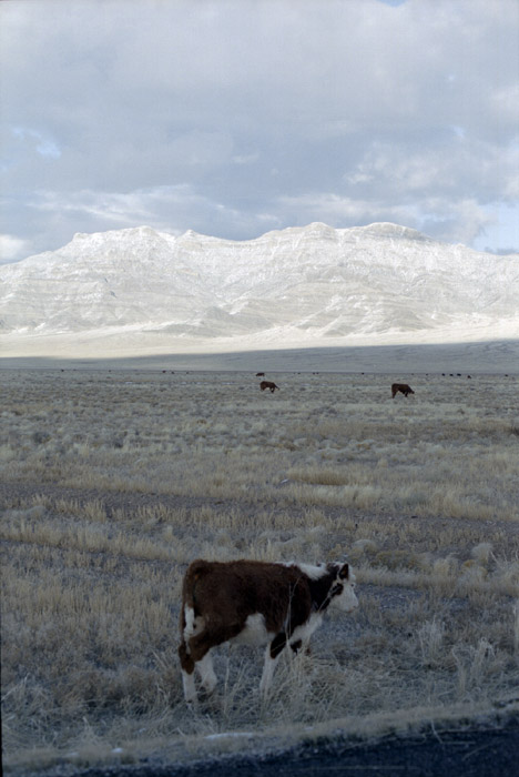 Things I found interesting while traveling through Utah and Nevada, November 1998.