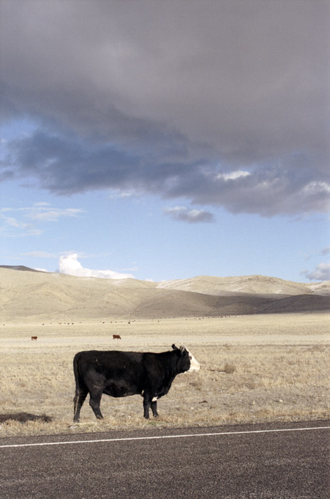 Photographs of the range country of western Utah: The virtually unpopulated Snake, Pine and Wah Wah valleys.