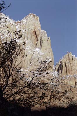 Early winter morning photographs of Zion Canyon, Zion National Park, Utah