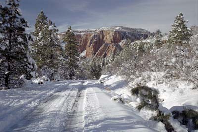 Photographs of Kolob Terrace, the highlands of Zion National Park, Utah.